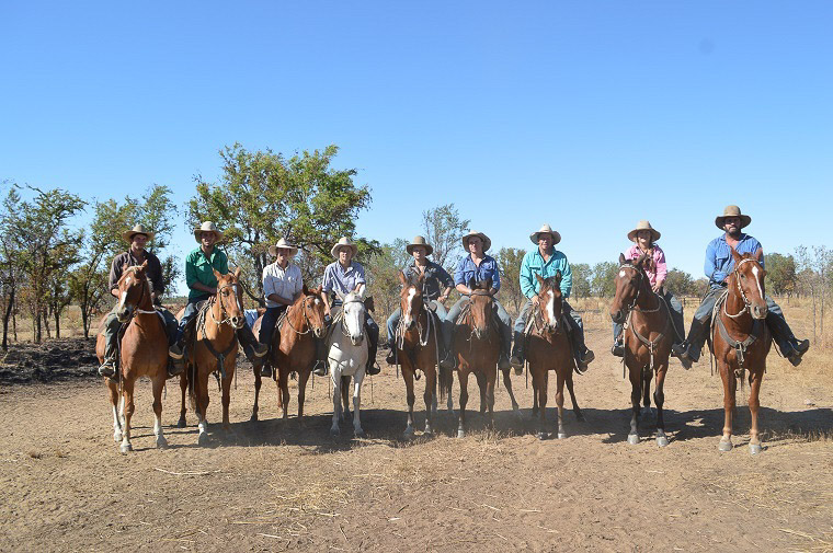Station Napier Downs 2015 on horses kent Saddles
