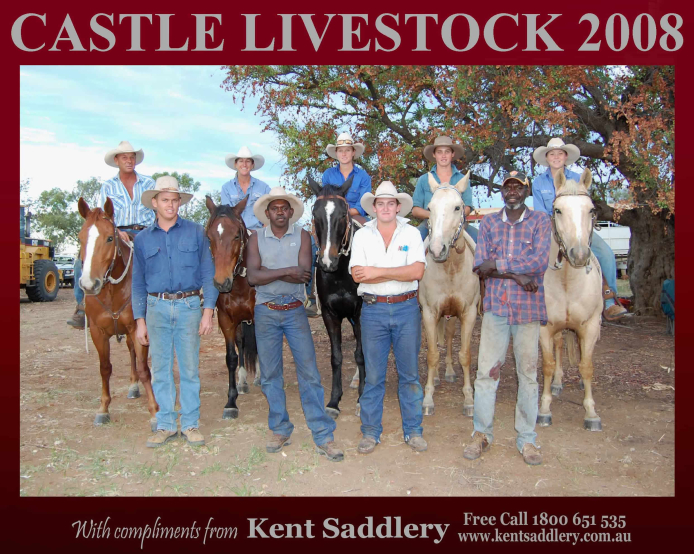 Drovers & Contractors - Castle Livestock 8