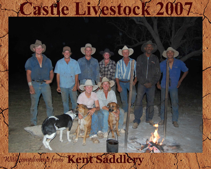 Drovers & Contractors - Castle Livestock 9