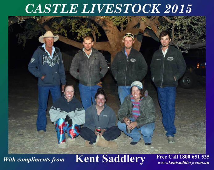 Drovers & Contractors - Castle Livestock 1