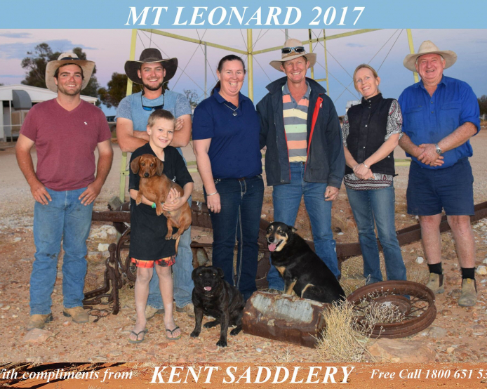 Queensland - Mt Leonard 14