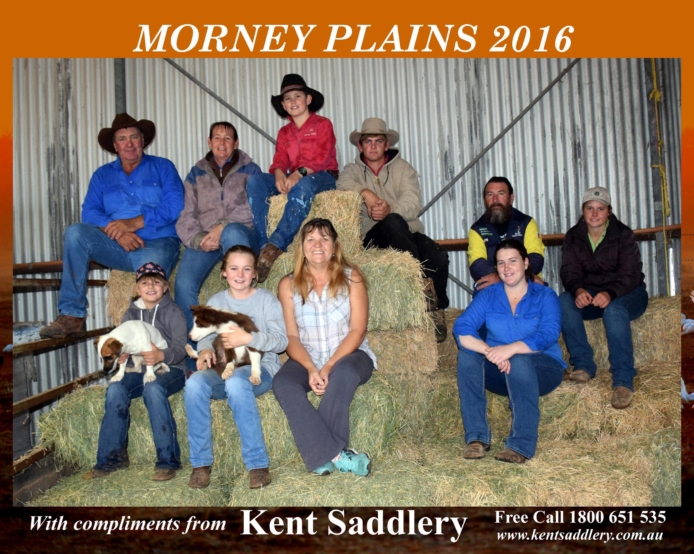 Queensland - Morney Plains 17