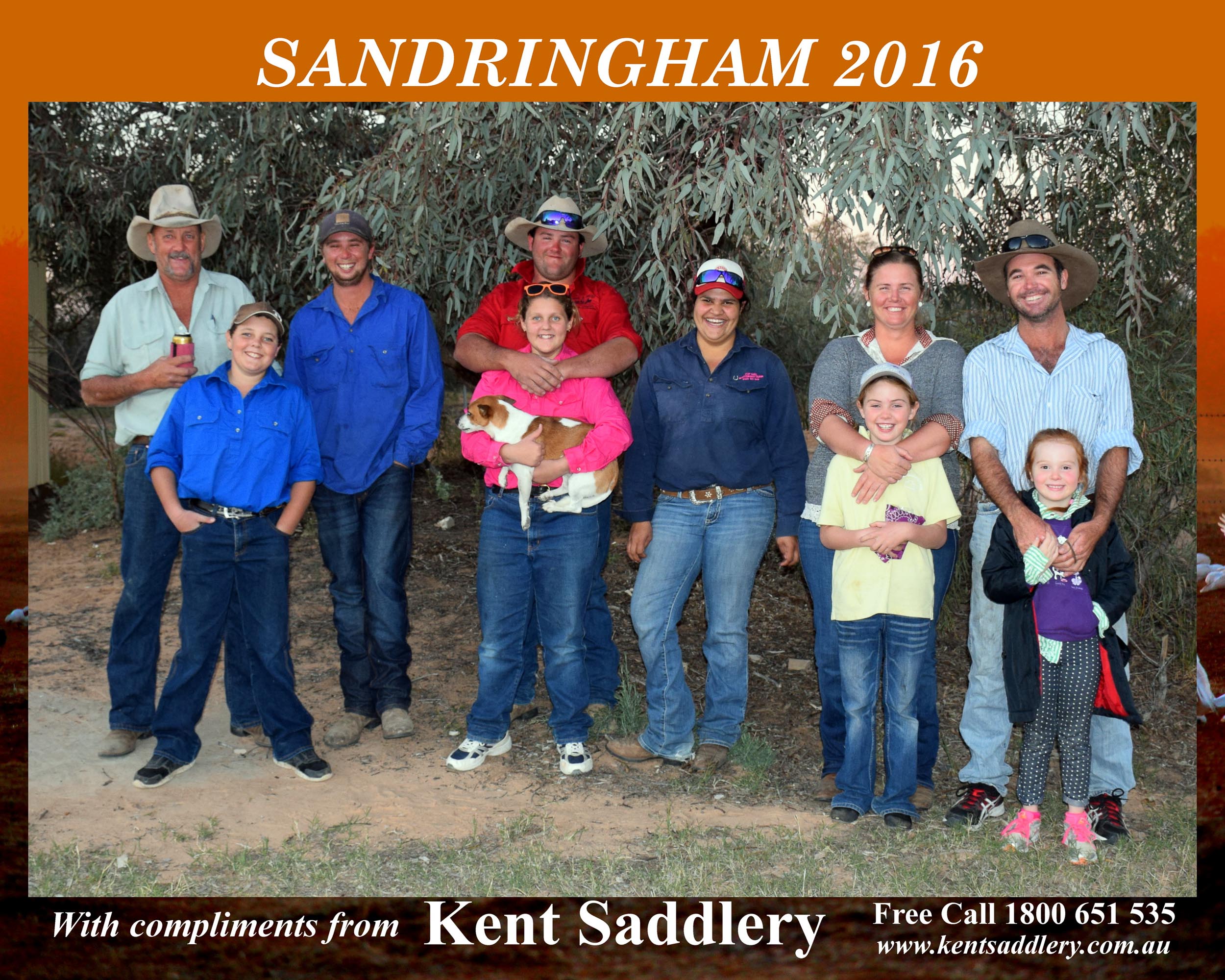 Queensland - Sandringham 6