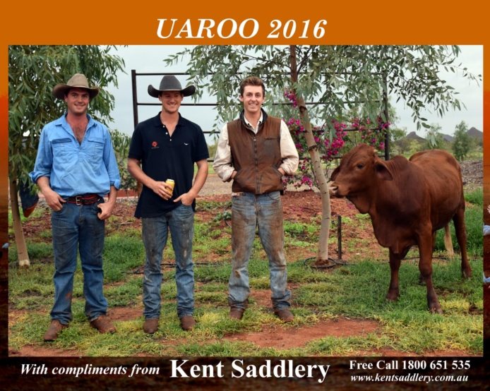 Western Australia - Uaroo 2