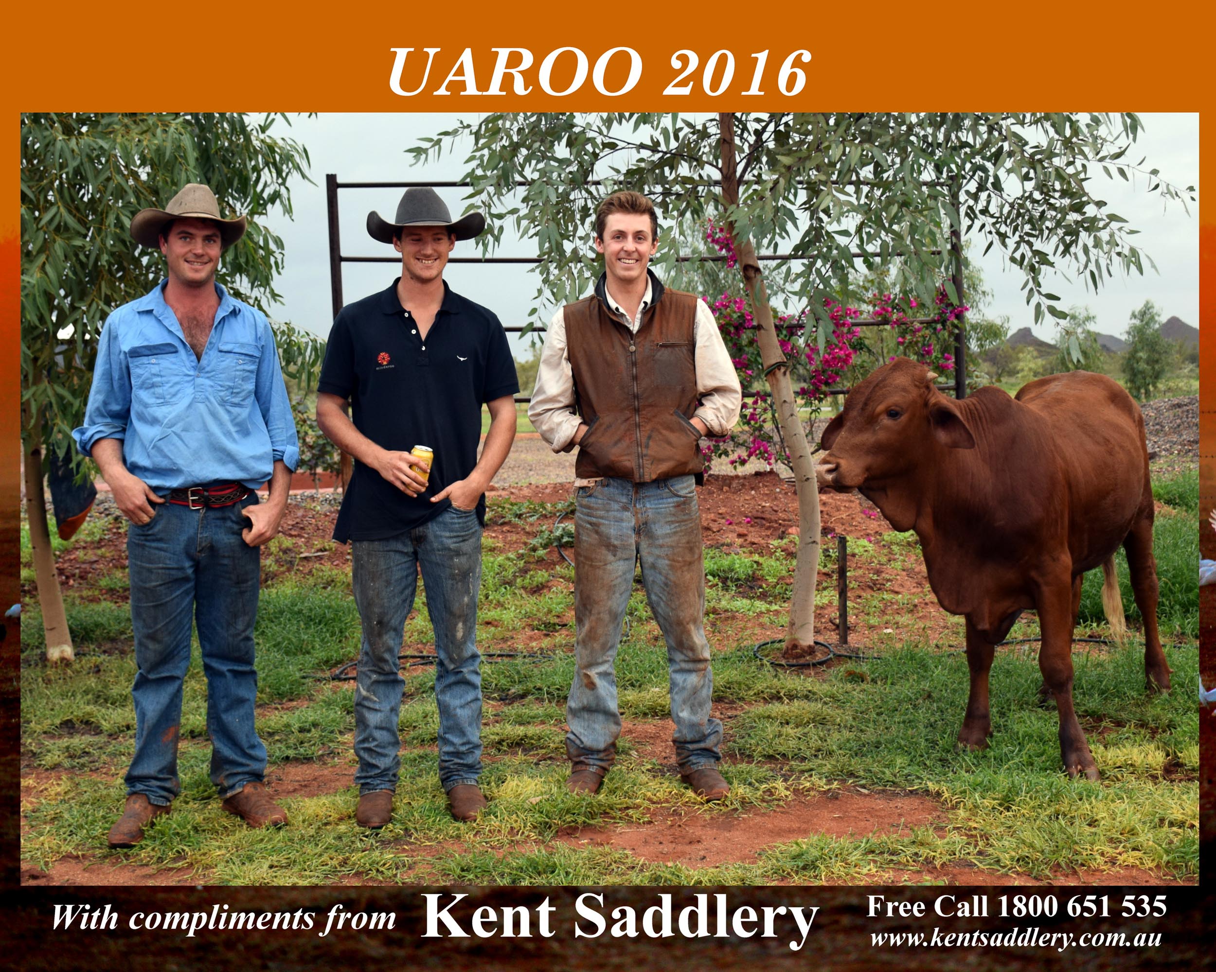 Western Australia - Uaroo 4