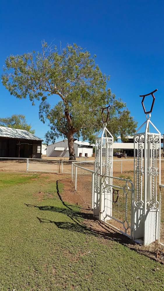 Victoria River Downs Station, Buchanan Highway, NT